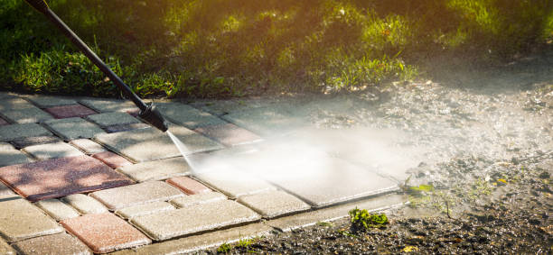 Best Fleet Vehicle Washing  in Perham, MN